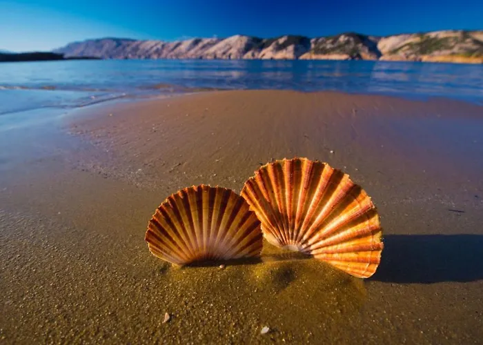 House In With Sea View, Terrace, Air Conditioning, Wifi 890-1 Tatil Evi Supetarska Draga